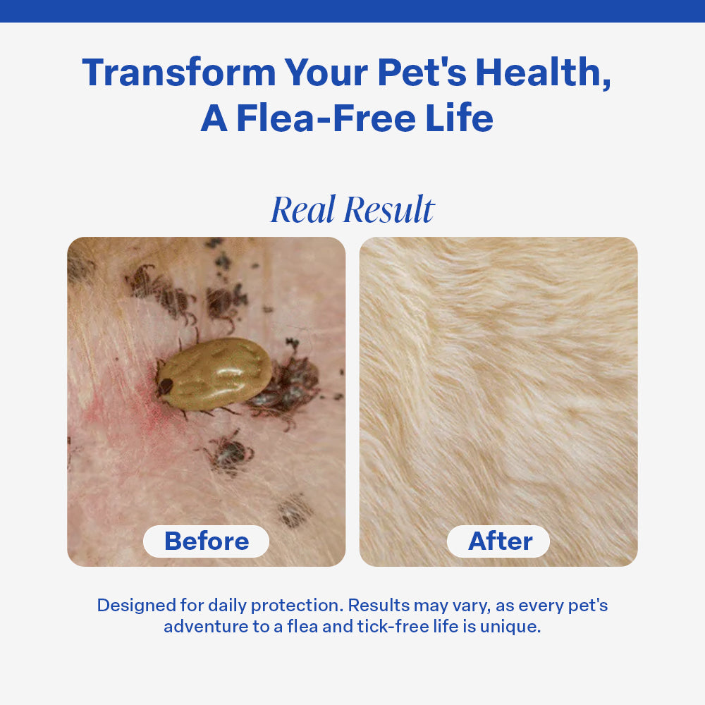 DrPaws® 8 Months Flea and Tick Free Collar