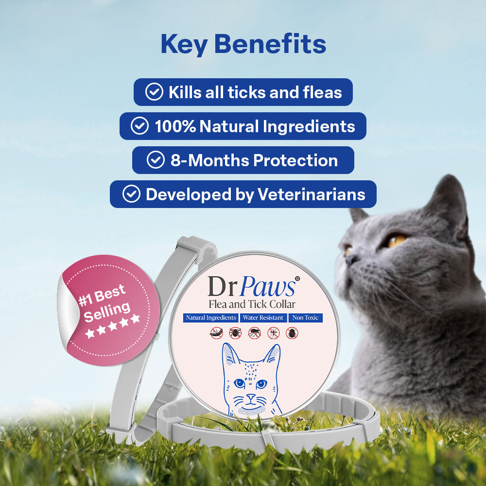 DrPaws® 8 Months Flea and Tick Free Collar