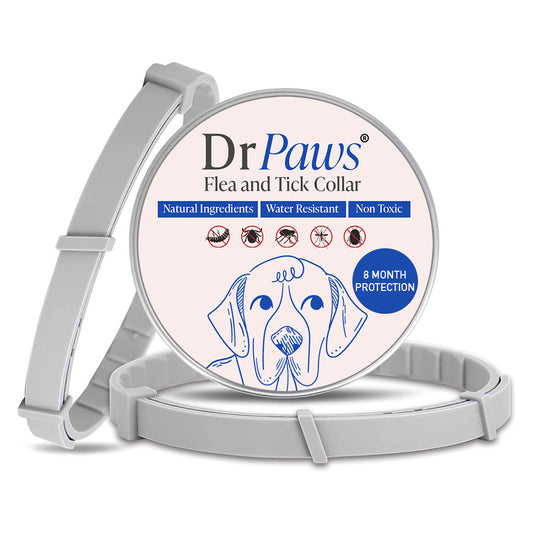 DrPaws® 8 Months Flea and Tick Free Collar