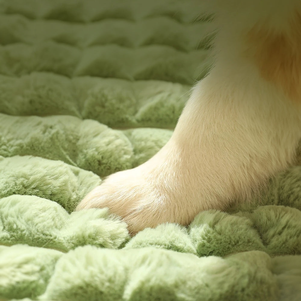 DrPaws™ Orthopedic Dog Bed